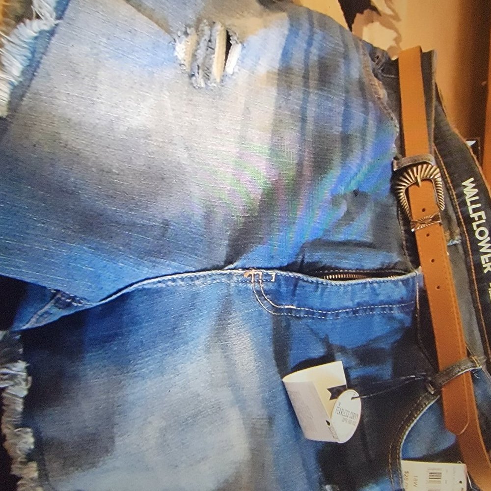 Womens size 18 Jean Shorts